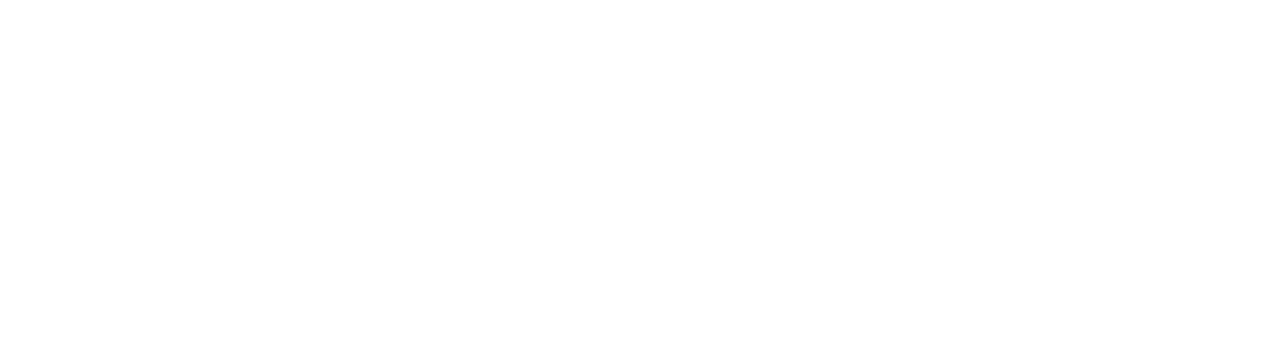 Logo_white